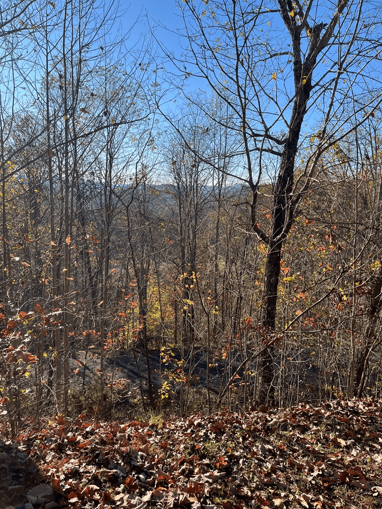 41 42 43 Ridges Overlook, Hayesville NC 28904 - Photo