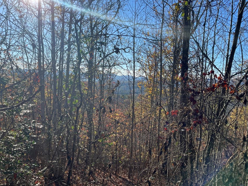 41 42 43 Ridges Overlook, Hayesville NC 28904 - Photo