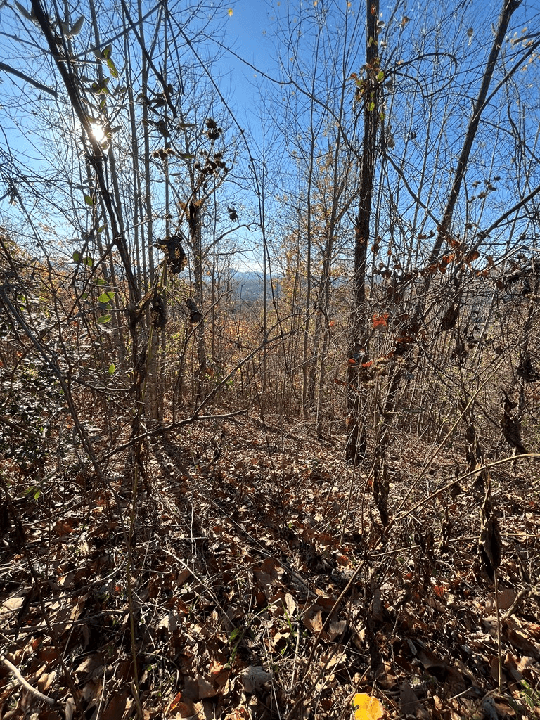 41 42 43 Ridges Overlook, Hayesville NC 28904 - Photo