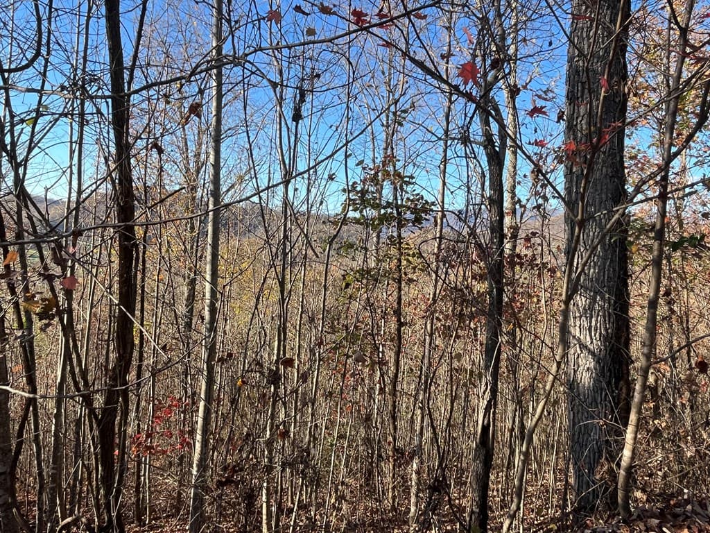 41 42 43 Ridges Overlook, Hayesville NC 28904 - Photo