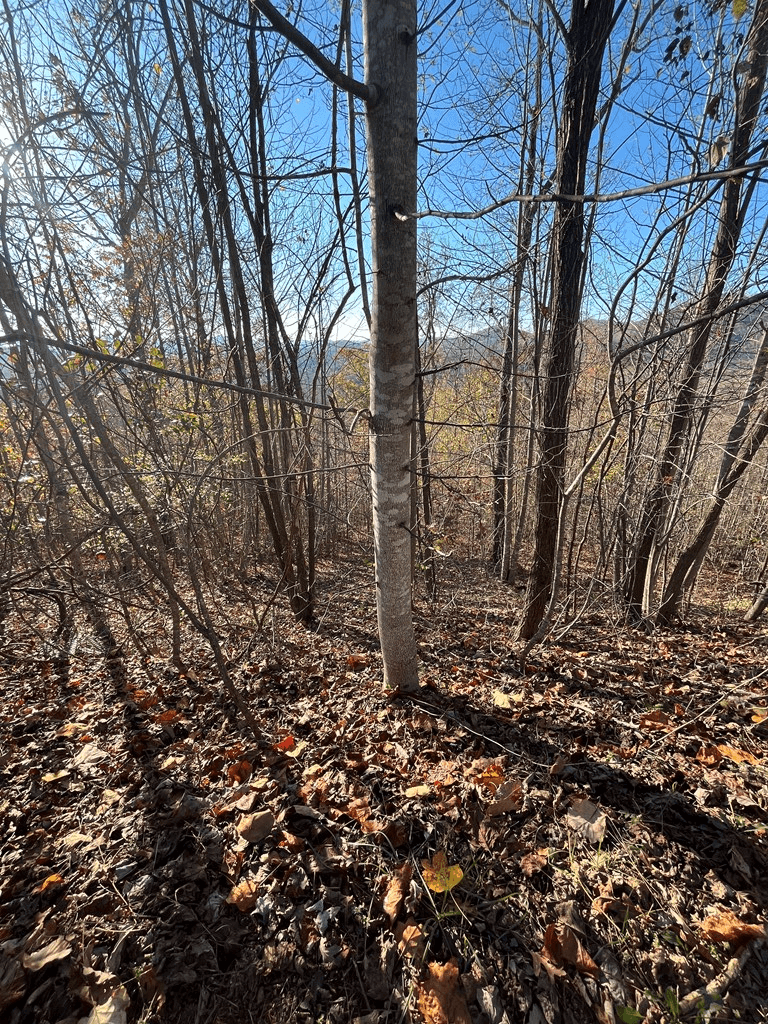 41 42 43 Ridges Overlook, Hayesville NC 28904 - Photo