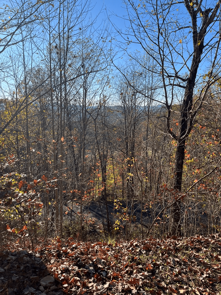 41 42 43 Ridges Overlook, Hayesville NC 28904 - Photo
