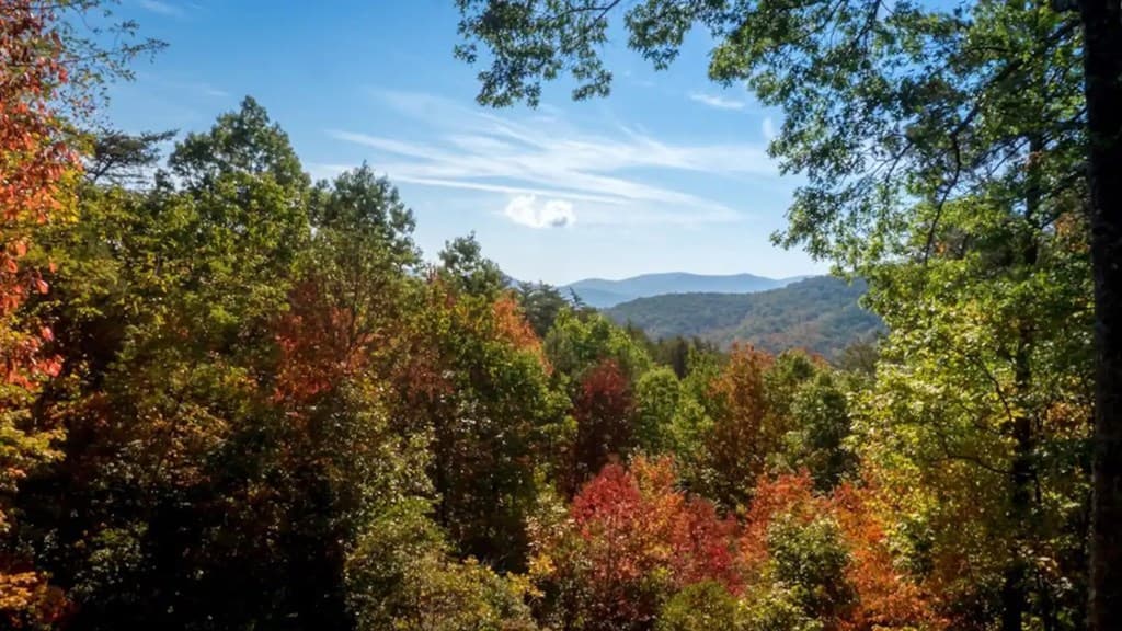 587 Lower Prince Mountain Road, Cherry Log GA 30522 - Photo