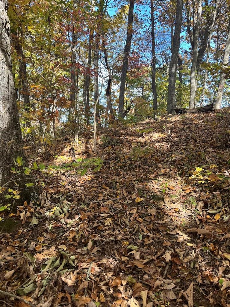 Lot 9 Black Bear Trail, Hiawassee GA 30546 - Photo
