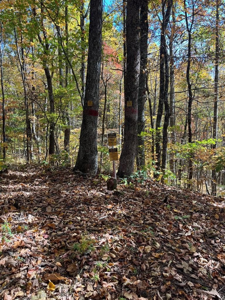 Lot 9 Black Bear Trail, Hiawassee GA 30546 - Photo