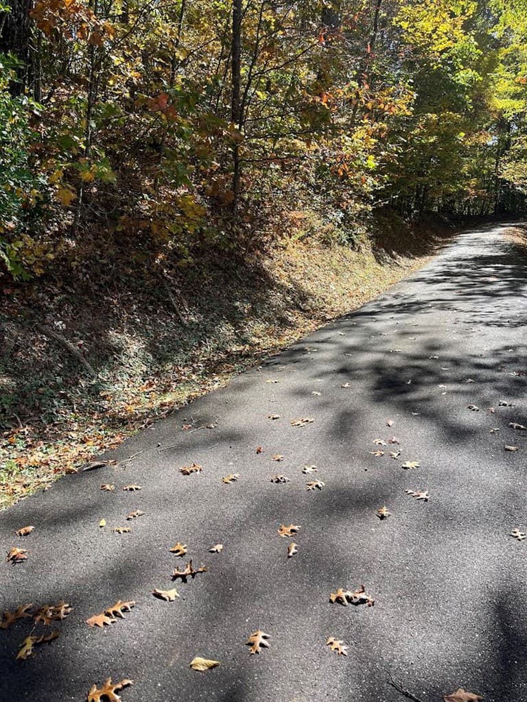 Lot 9 Black Bear Trail, Hiawassee GA 30546 - Photo