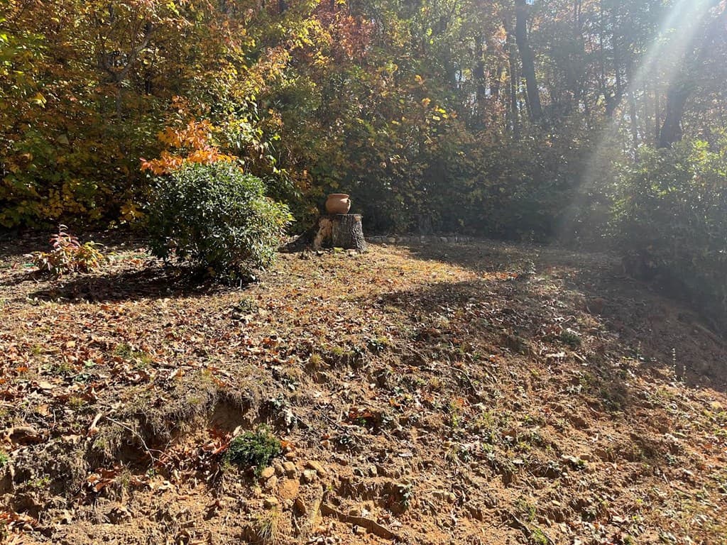 Lot 9 Black Bear Trail, Hiawassee GA 30546 - Photo