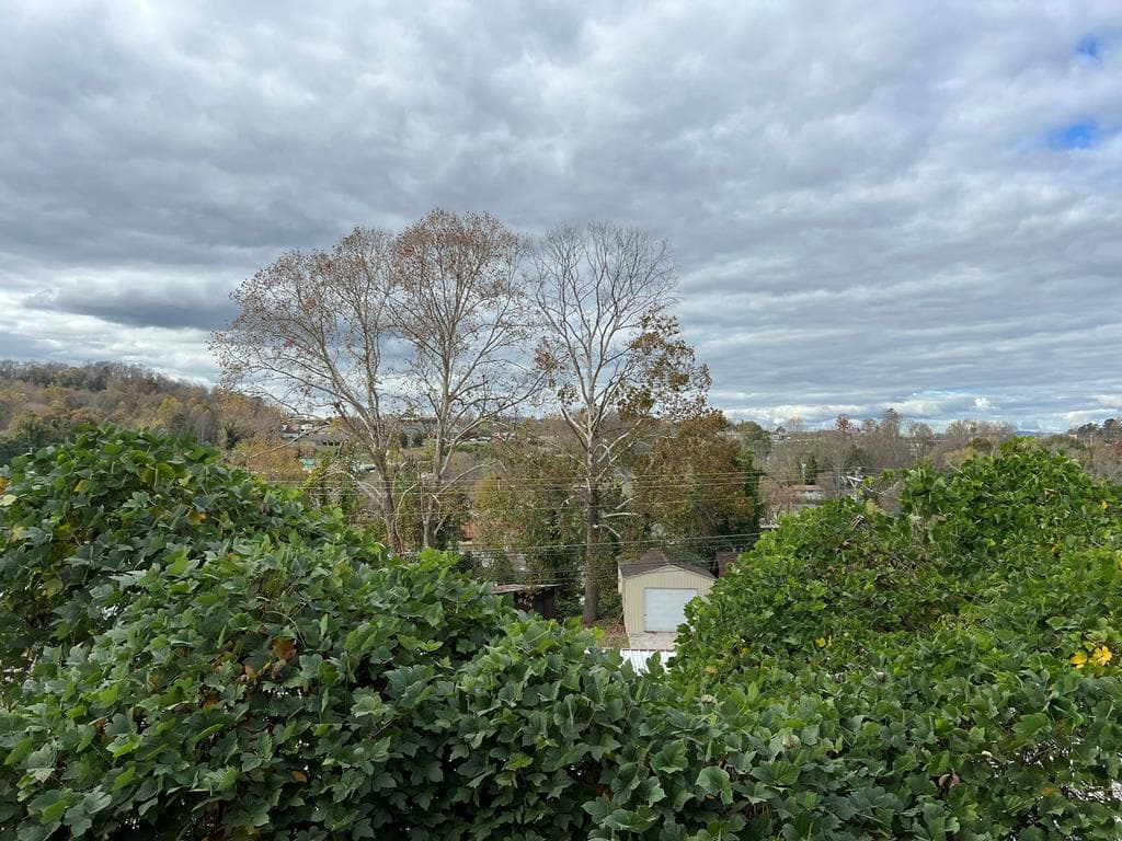 330 E Second Street, Blue Ridge GA 30513 - Photo