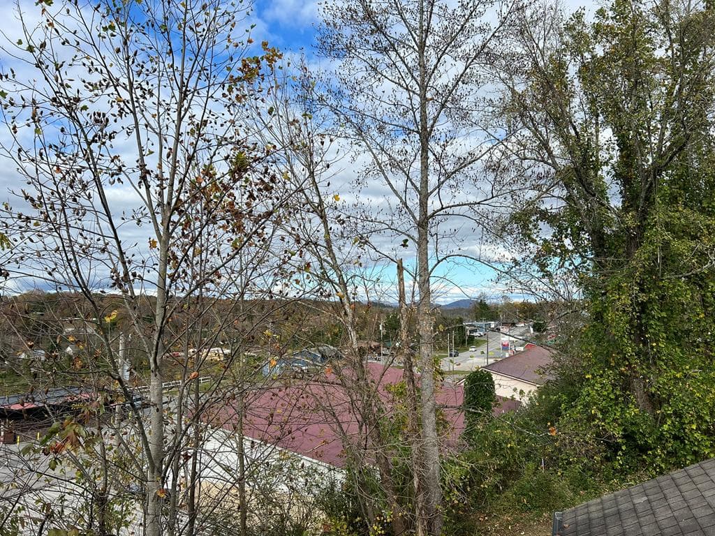 330 E Second Street, Blue Ridge GA 30513 - Photo