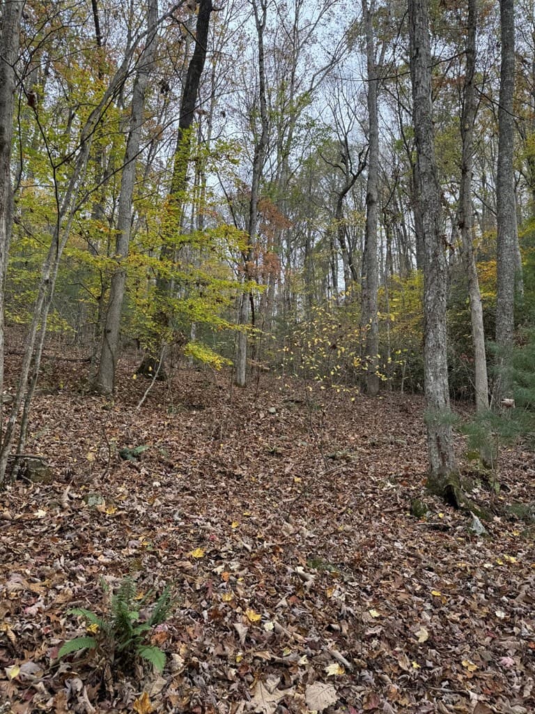 00 Heritage Trail, Brasstown NC 28902 - Photo