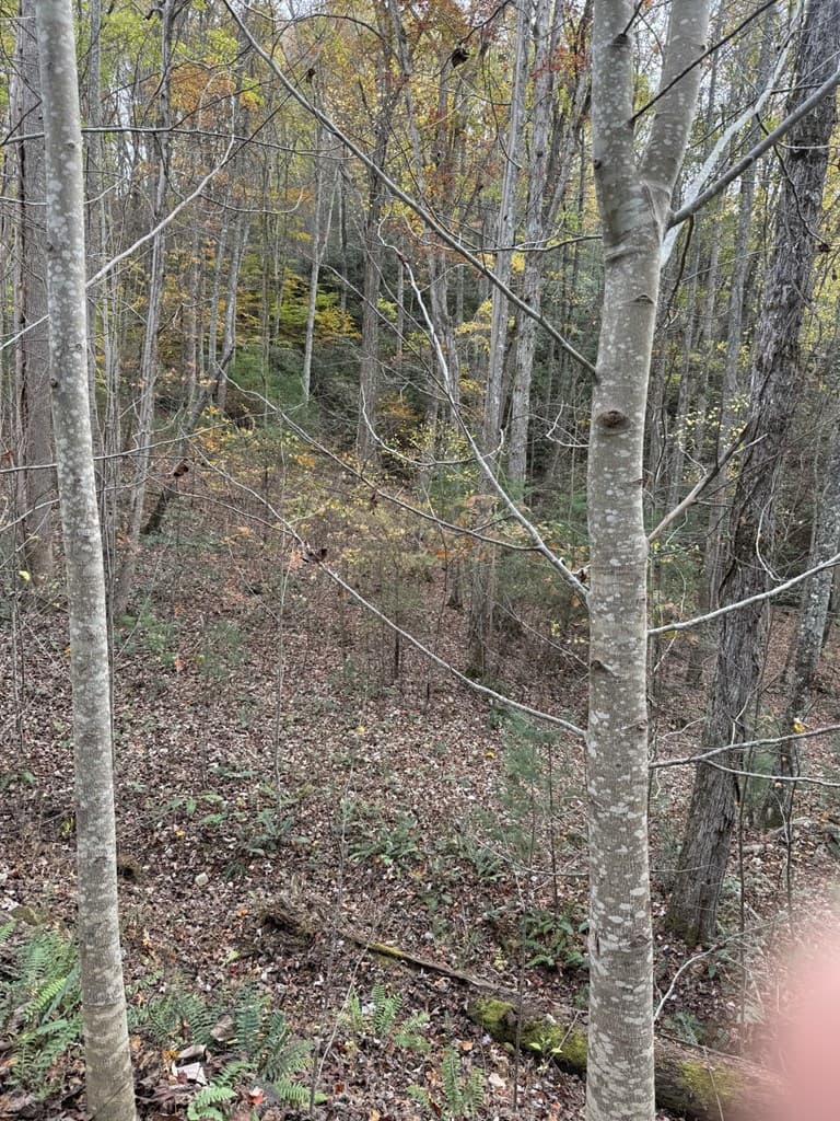 00 Heritage Trail, Brasstown NC 28902 - Photo