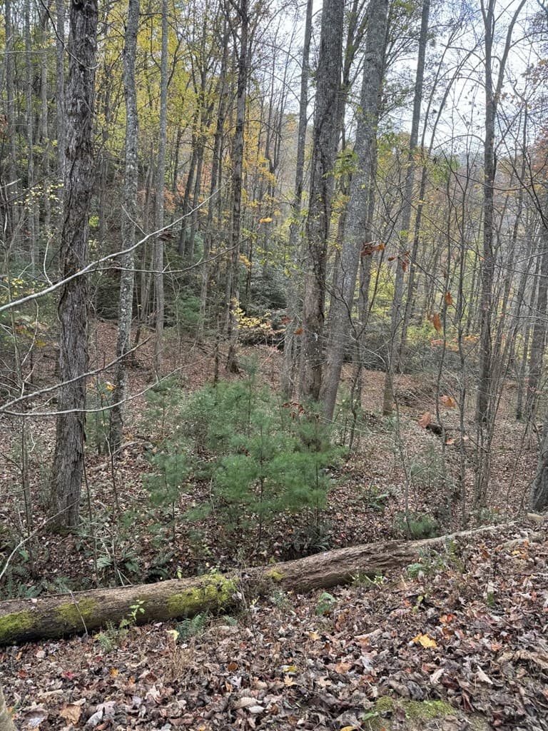 00 Heritage Trail, Brasstown NC 28902 - Photo