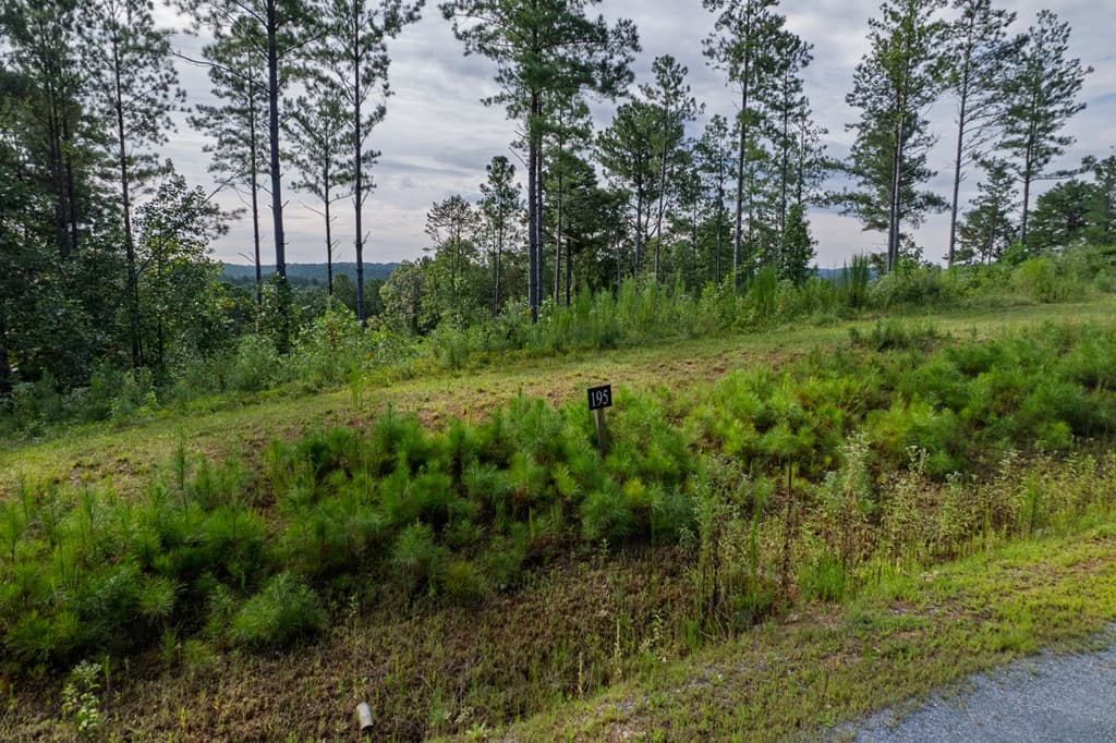 Lot 195 Blalock Mountain Road, Talking Rock GA 30175 - Photo