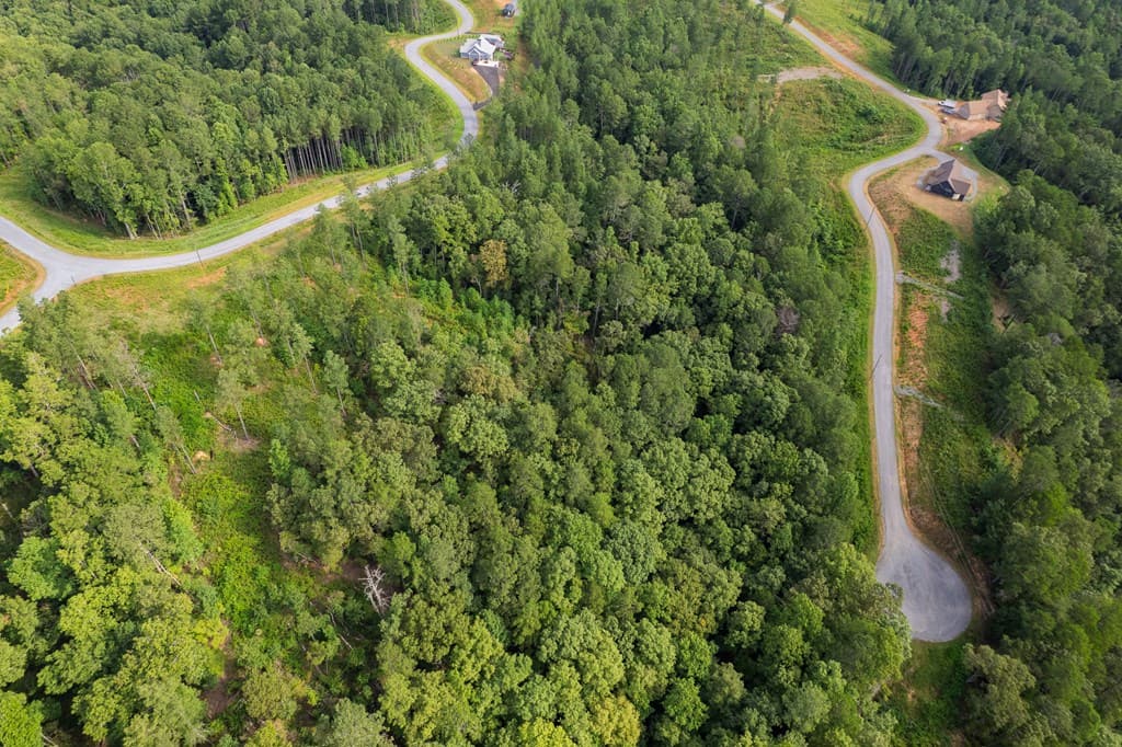 Lot 195 Blalock Mountain Road, Talking Rock GA 30175 - Photo