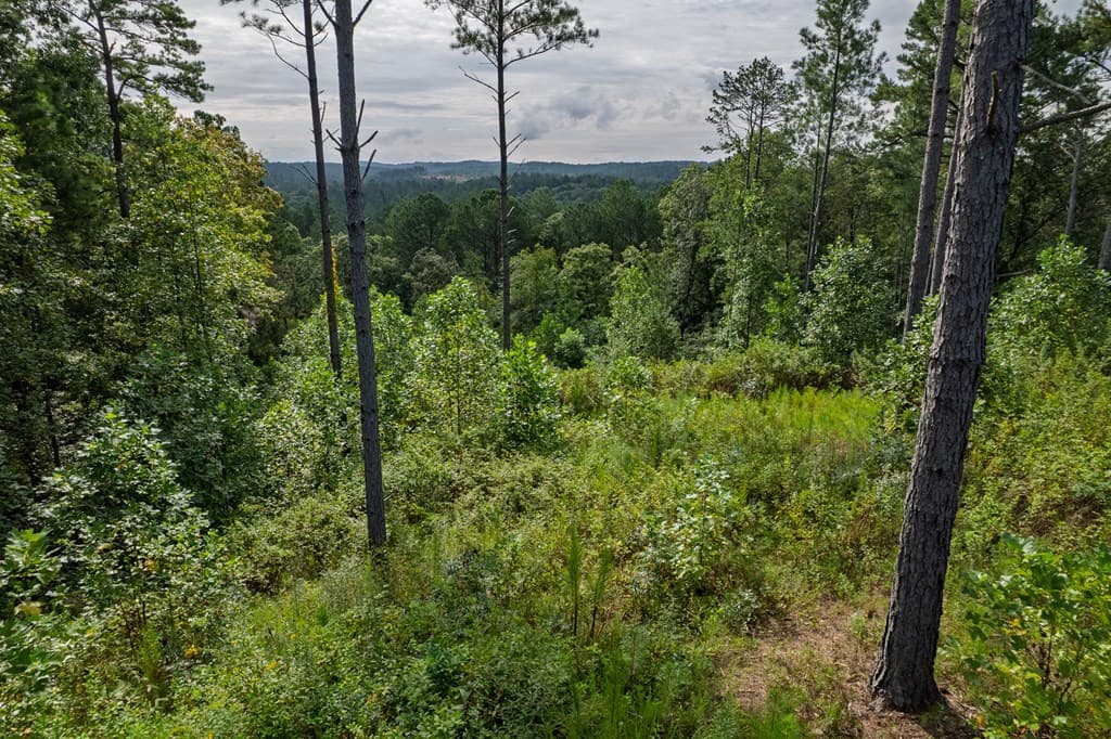 Lot 195 Blalock Mountain Road, Talking Rock GA 30175 - Photo