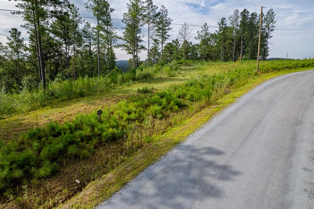 Lot 195 Blalock Mountain Road, Talking Rock GA 30175 - Photo