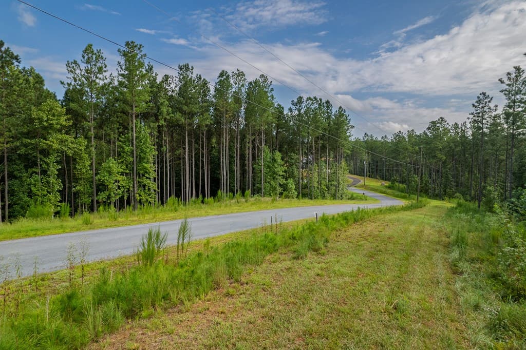 Lot 195 Blalock Mountain Road, Talking Rock GA 30175 - Photo