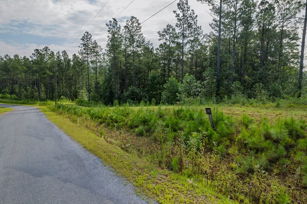 Lot 195 Blalock Mountain Road, Talking Rock GA 30175 - Photo