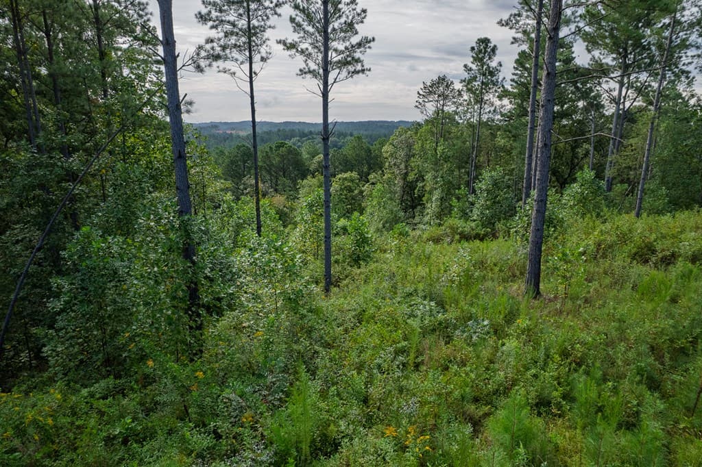 Lot 195 Blalock Mountain Road, Talking Rock GA 30175 - Photo