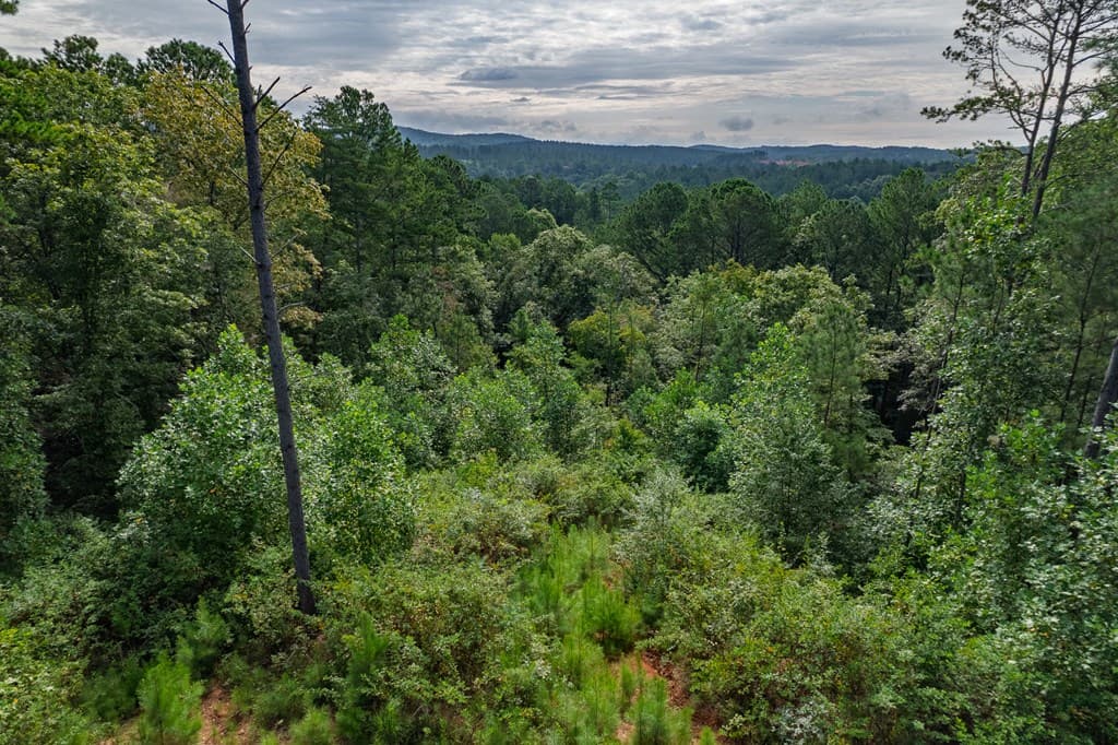 Lot 195 Blalock Mountain Road, Talking Rock GA 30175 - Photo