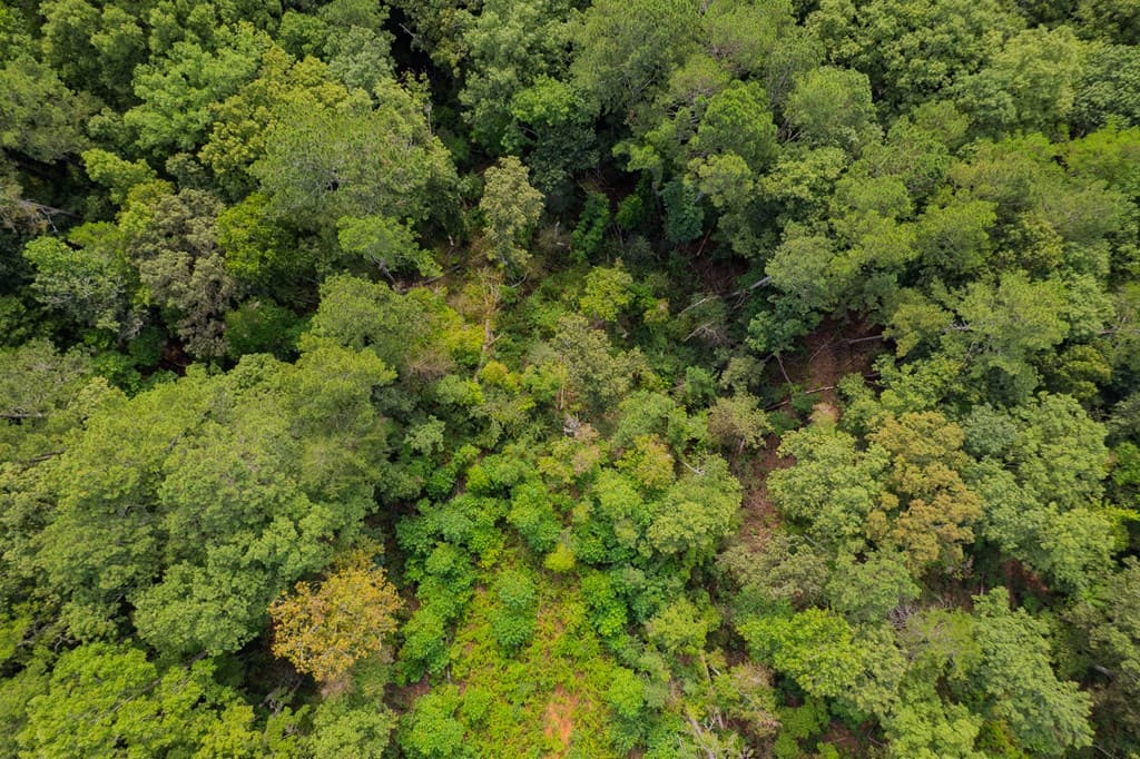 Lot 195 Blalock Mountain Road, Talking Rock GA 30175 - Photo