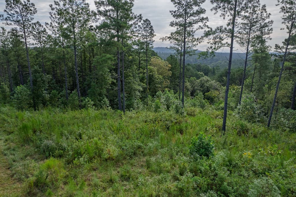 Lot 195 Blalock Mountain Road, Talking Rock GA 30175 - Photo
