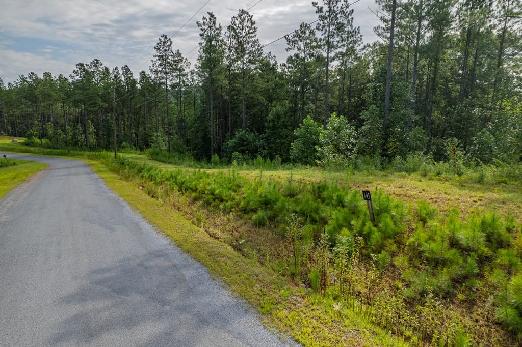 Lot 195 Blalock Mountain Road, Talking Rock GA 30175 - Photo
