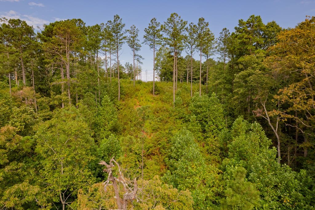 Lot 195 Blalock Mountain Road, Talking Rock GA 30175 - Photo