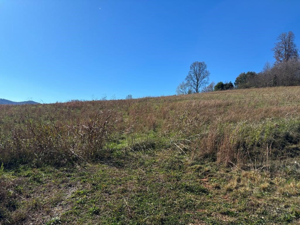 Lots 1-4 Windy Ridge & Hwy 69, Hayesville NC 28904 - Photo