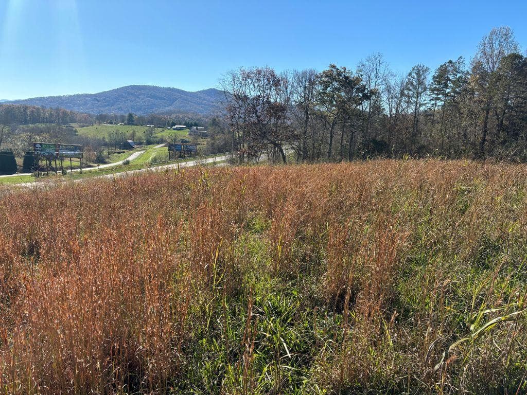 Lots 1-4 Windy Ridge & Hwy 69, Hayesville NC 28904 - Primary photo
