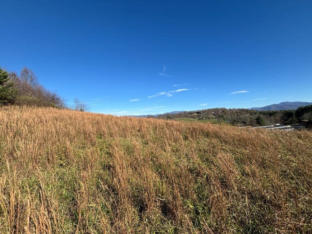 Lots 1-4 Windy Ridge & Hwy 69, Hayesville NC 28904 - Photo