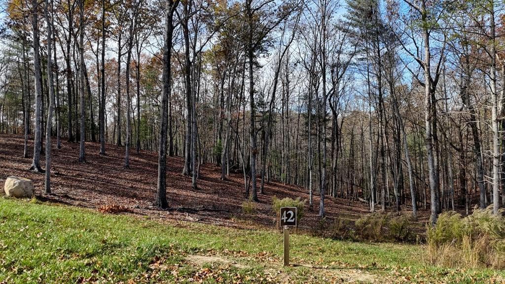 Lot 42 Ridge Dr, Morganton GA 30560 - Photo