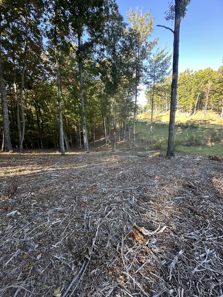 Lot 42 Ridge Dr, Morganton GA 30560 - Photo