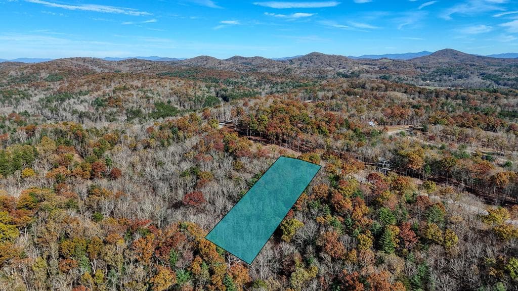 Lot 42 Ridge Dr, Morganton GA 30560 - Photo
