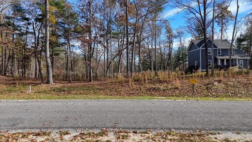 Lot 42 Ridge Dr, Morganton GA 30560 - Photo