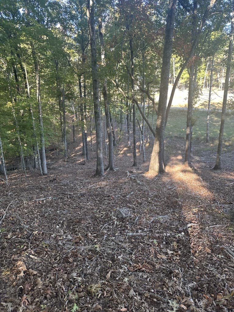 Lot 42 Ridge Dr, Morganton GA 30560 - Photo