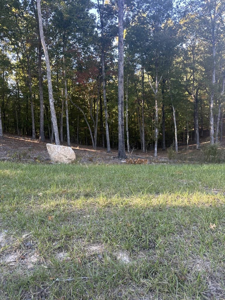 Lot 42 Ridge Dr, Morganton GA 30560 - Photo