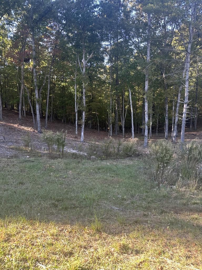 Lot 42 Ridge Dr, Morganton GA 30560 - Primary photo