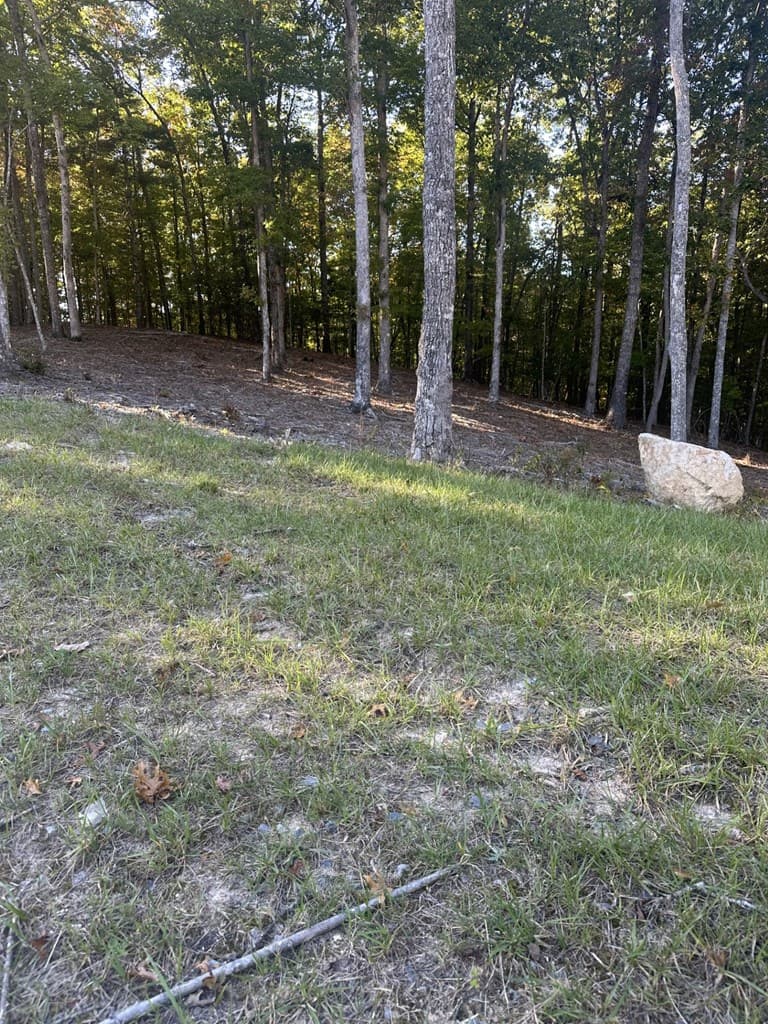 Lot 42 Ridge Dr, Morganton GA 30560 - Photo
