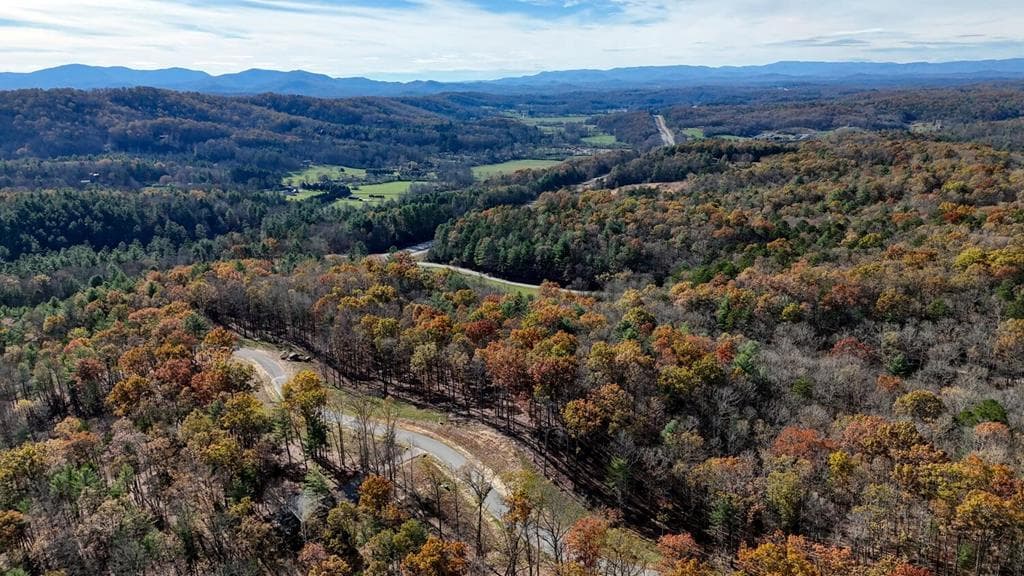 Lot 42 Ridge Dr, Morganton GA 30560 - Photo