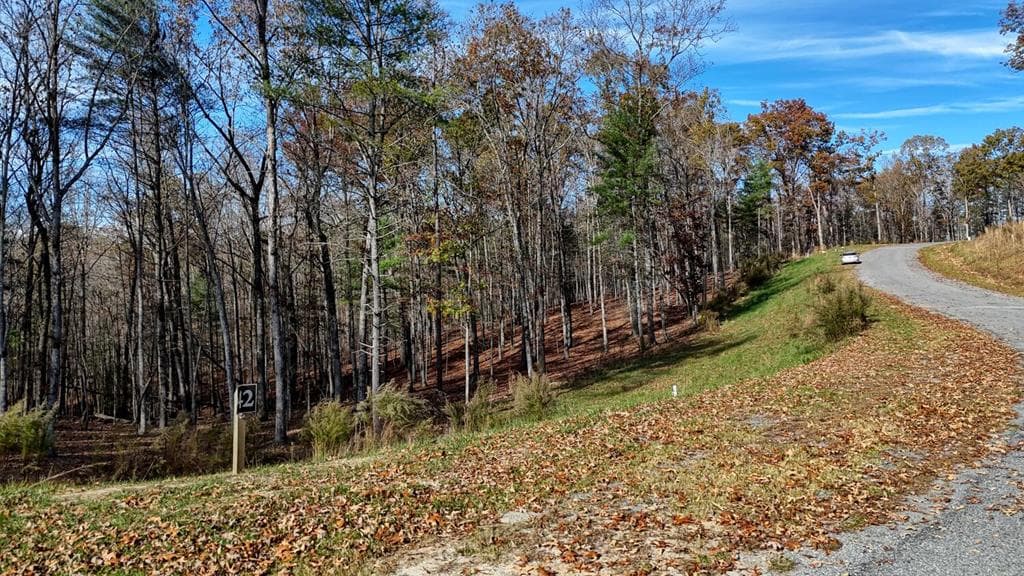 Lot 42 Ridge Dr, Morganton GA 30560 - Photo