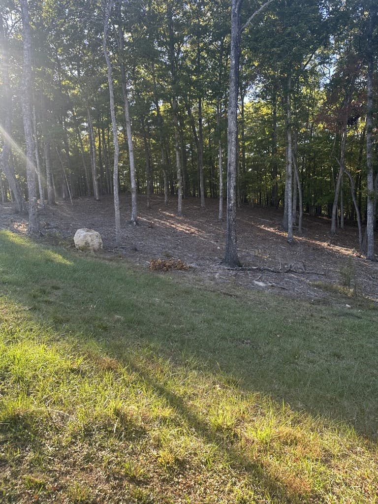 Lot 42 Ridge Dr, Morganton GA 30560 - Photo