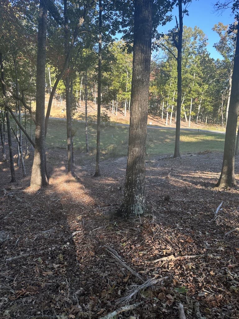 Lot 42 Ridge Dr, Morganton GA 30560 - Photo