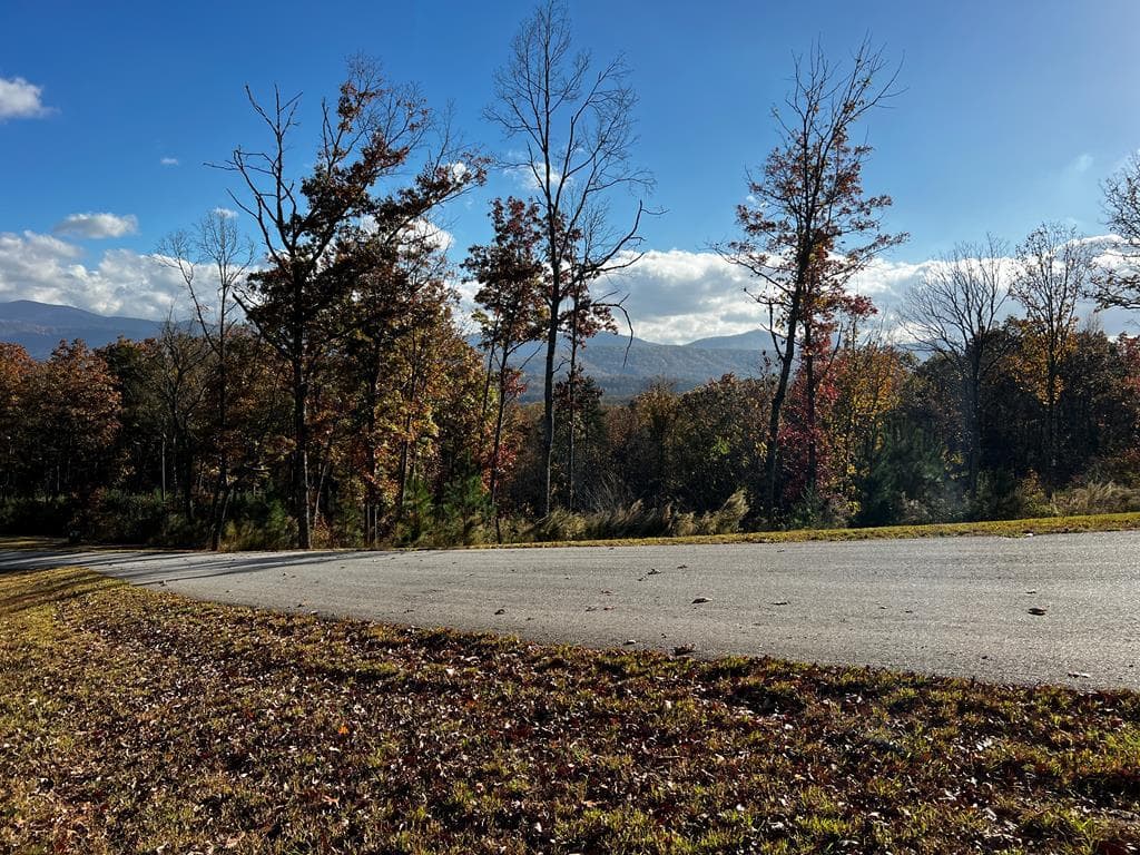 Lot 118 Winding Ridge, Blairsville GA 30512 - Photo