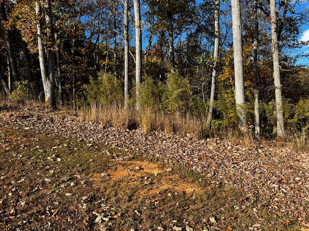 Lot 118 Winding Ridge, Blairsville GA 30512 - Photo