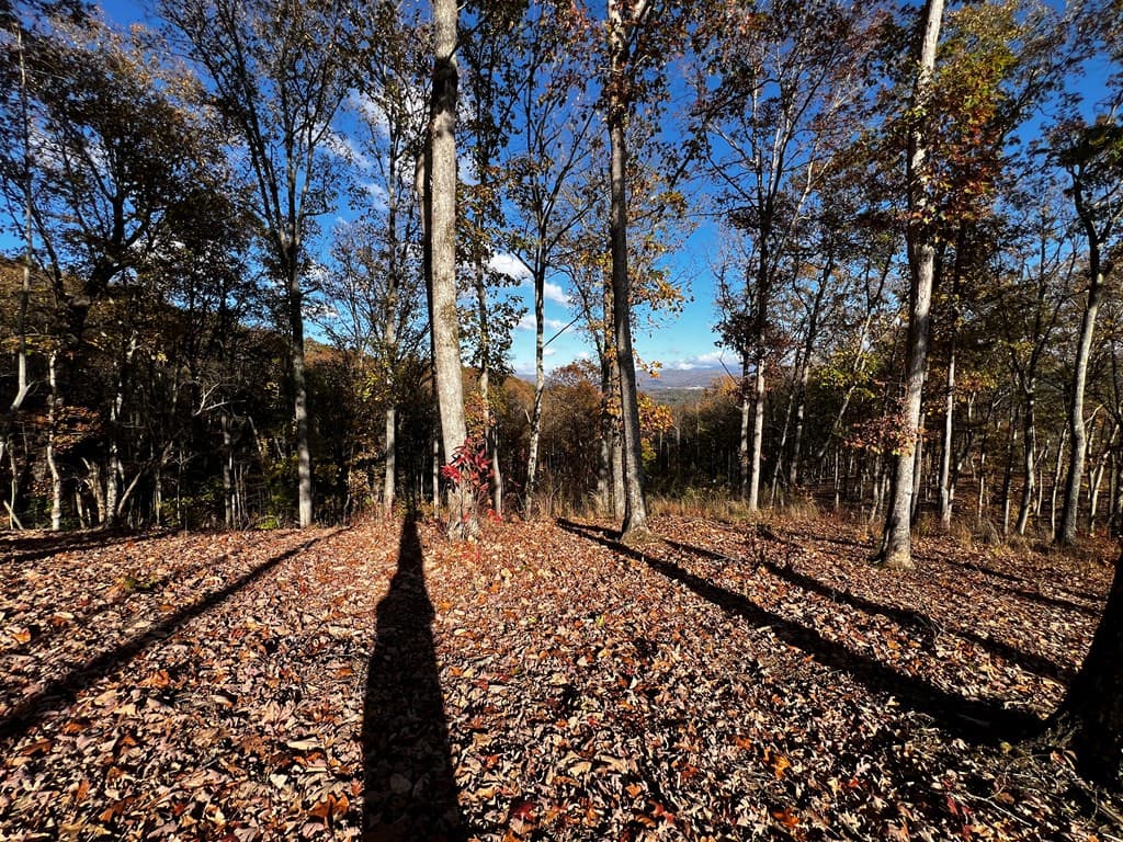 Lot 118 Winding Ridge, Blairsville GA 30512 - Photo