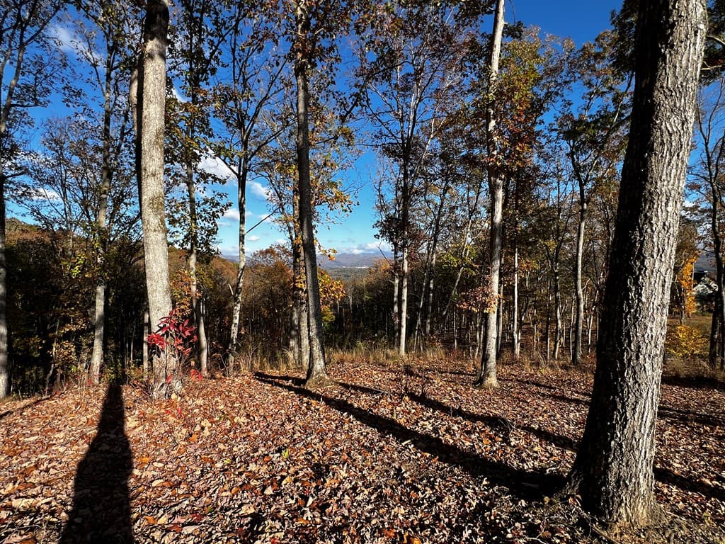 Lot 118 Winding Ridge, Blairsville GA 30512 - Photo