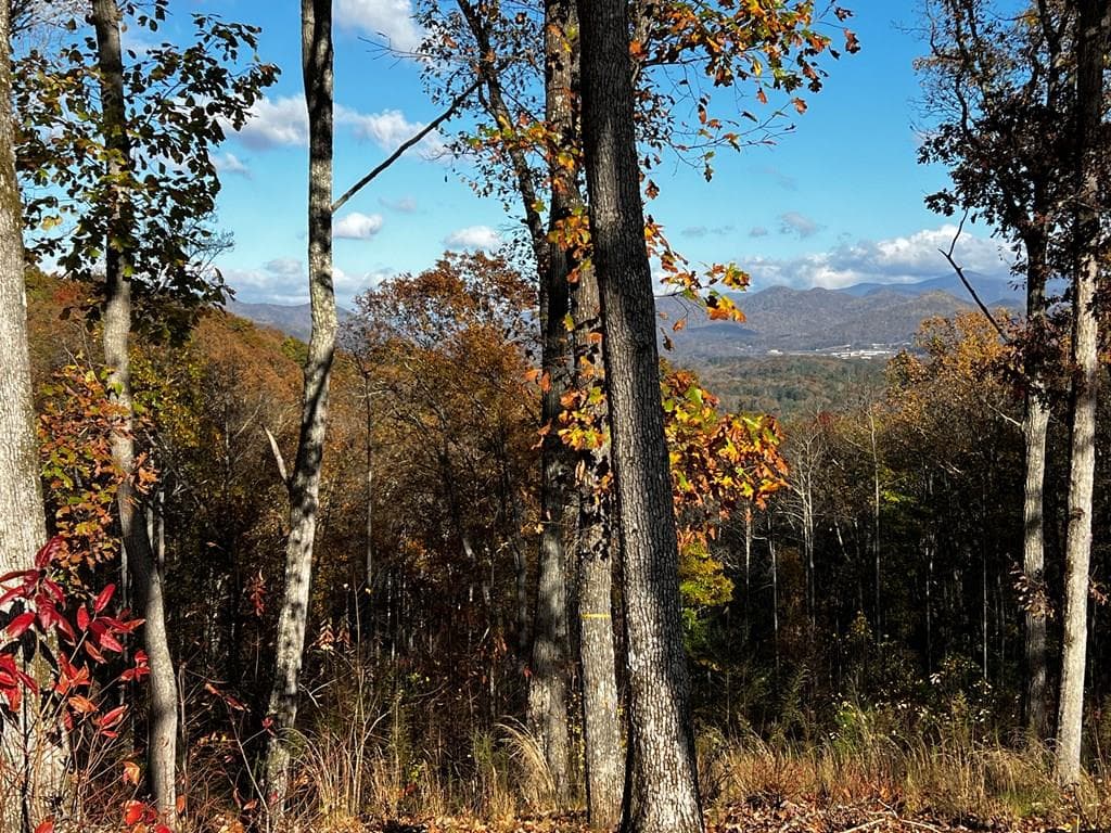 Lot 118 Winding Ridge, Blairsville GA 30512 - Primary photo