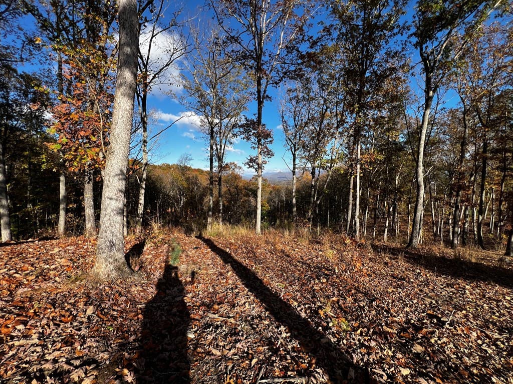 Lot 118 Winding Ridge, Blairsville GA 30512 - Photo
