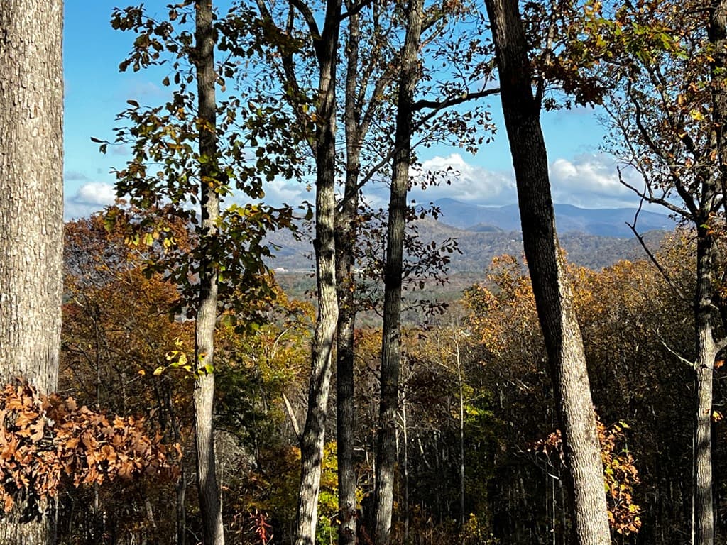Lot 118 Winding Ridge, Blairsville GA 30512 - Photo